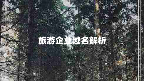 旅游企業(yè)域名解析
