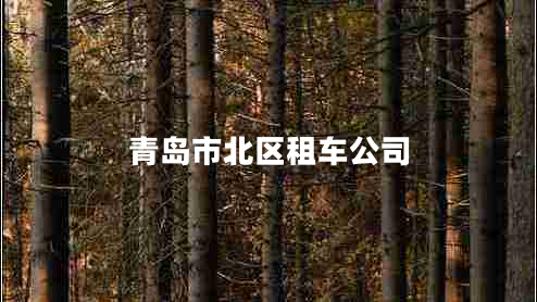 青島市北區(qū)租車公司