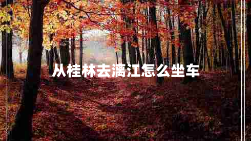 從桂林去漓江怎么坐車(chē)