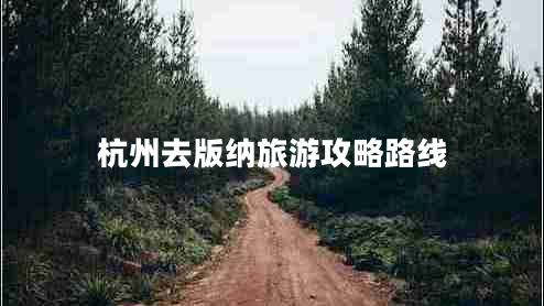 杭州去版納旅游攻略路線