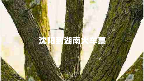 沈陽到湖南火車票 沈陽到湖南火車票