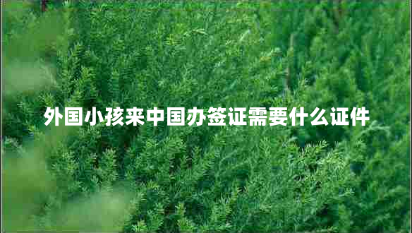 外國小孩來中國辦簽證需要什么證件