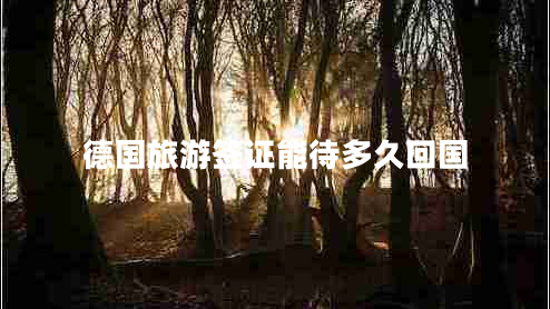 德國(guó)旅游簽證能待多久回國(guó)