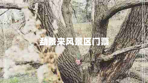 勐景來(lái)風(fēng)景區(qū)門(mén)票