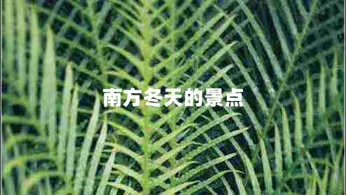 南方冬天的景點(diǎn)