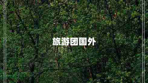 旅游團(tuán)國(guó)外