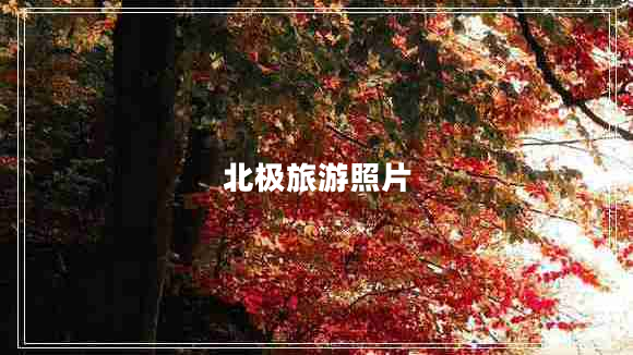 北極旅游照片 北極旅游照片