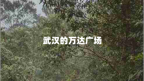 武漢的萬達廣場