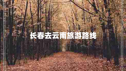 長春去云南旅游路線 長春去云南旅游路線