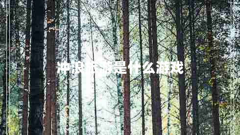 沖浪旅游是什么游戲 沖浪旅游是什么游戲