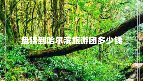 盤錦到哈爾濱旅游團多少錢 盤錦到哈爾濱旅游團多少錢