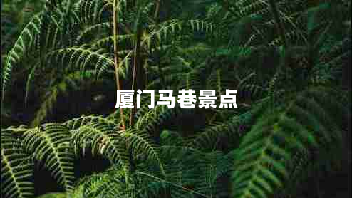 廈門馬巷景點 廈門馬巷景點