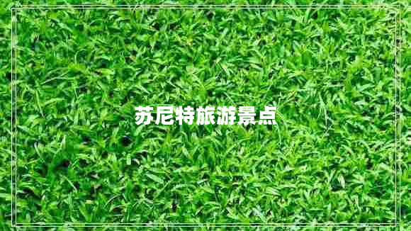 蘇尼特旅游景點 蘇尼特旅游景點