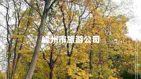 嵊州市旅游公司 嵊州市旅游公司