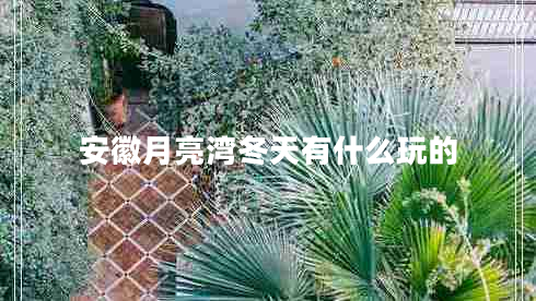 安徽月亮灣冬天有什么玩的