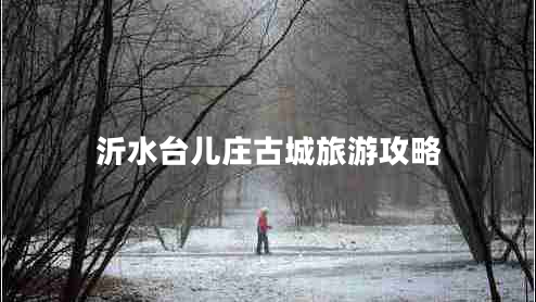 沂水臺兒莊古城旅游攻略