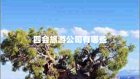 四會(huì)旅游公司有哪些
