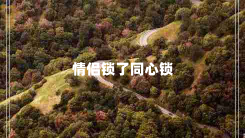 情侶鎖了同心鎖 情侶鎖了同心鎖