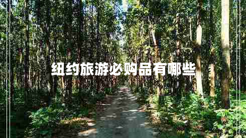 紐約旅游必購品有哪些