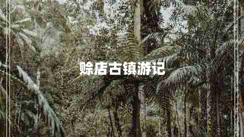 賒店古鎮(zhèn)游記