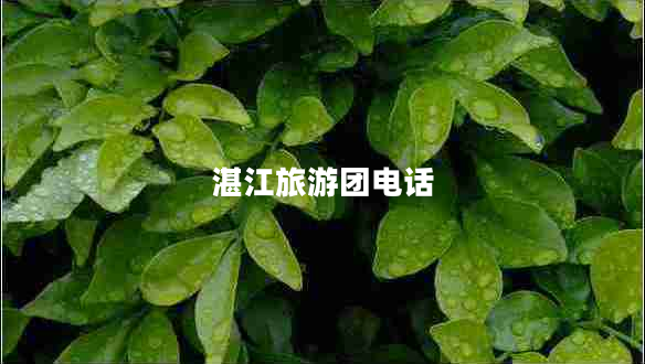 湛江旅游團(tuán)電話