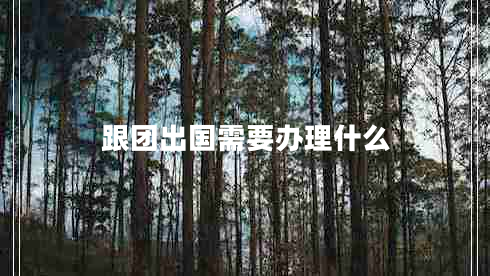 跟團出國需要辦理什么