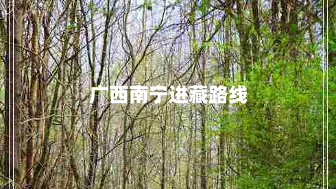 廣西南寧進(jìn)藏路線