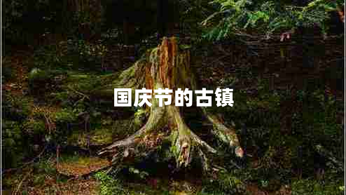 國(guó)慶節(jié)的古鎮(zhèn)