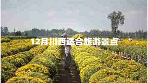 12月川西適合旅游景點