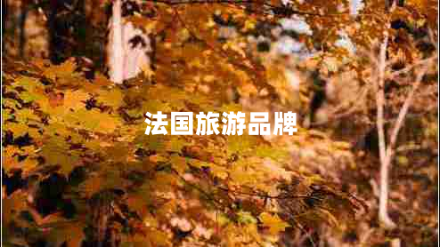法國(guó)旅游品牌