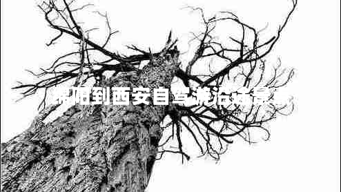 綿陽到西安自駕游沿途景點(diǎn)