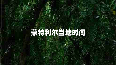 蒙特利爾當(dāng)?shù)貢r(shí)間