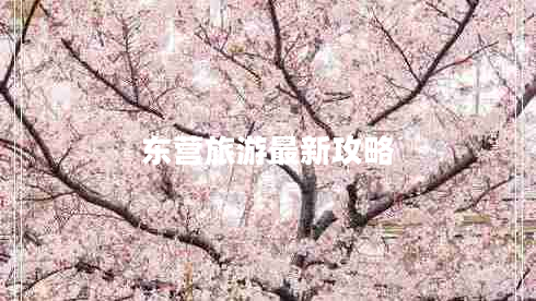 東營旅游最新攻略