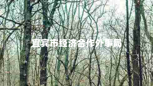 宜賓市經(jīng)濟(jì)合作外事局