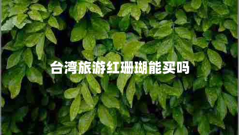 臺(tái)灣旅游紅珊瑚能買嗎