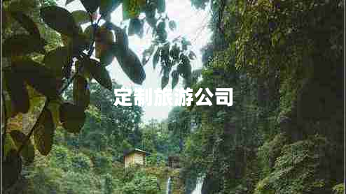 定制旅游公司 定制旅游公司