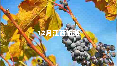 12月江西旅游