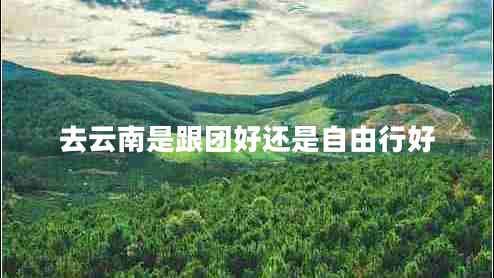 去云南是跟團(tuán)好還是自由行好 去云南是跟團(tuán)好還是自由行好