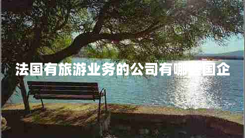法國有旅游業(yè)務(wù)的公司有哪些國企 法國有旅游業(yè)務(wù)的公司有哪些國企