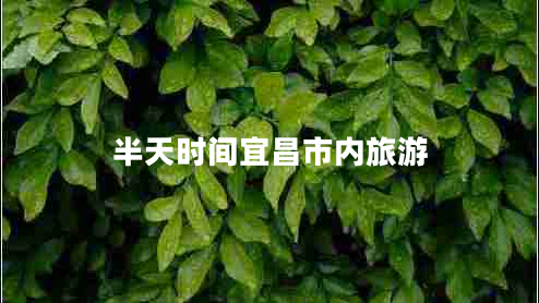 半天時(shí)間宜昌市內(nèi)旅游