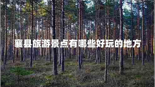 襄縣旅游景點(diǎn)有哪些好玩的地方 襄縣旅游景點(diǎn)有哪些好玩的地方