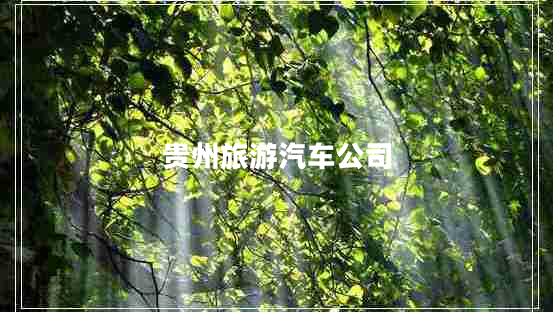 貴州旅游汽車(chē)公司