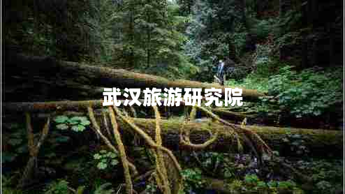武漢旅游研究院 武漢旅游研究院