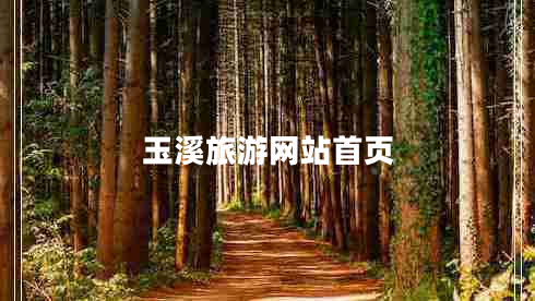 玉溪旅游網(wǎng)站首頁