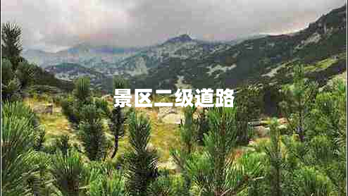 景區(qū)二級道路
