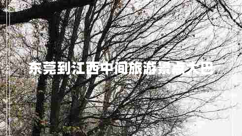 東莞到江西中間旅游景點(diǎn)大巴