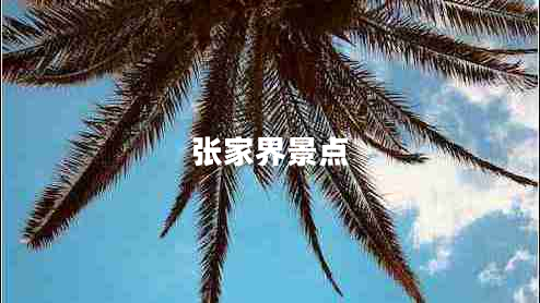 張家界景點 張家界景點