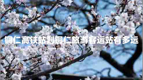 銅仁高鐵站到銅仁旅游客運站有多遠