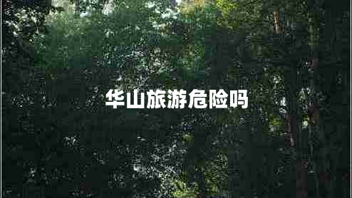 華山旅游危險(xiǎn)嗎