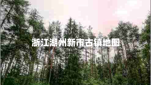 浙江湖州新市古鎮(zhèn)地圖